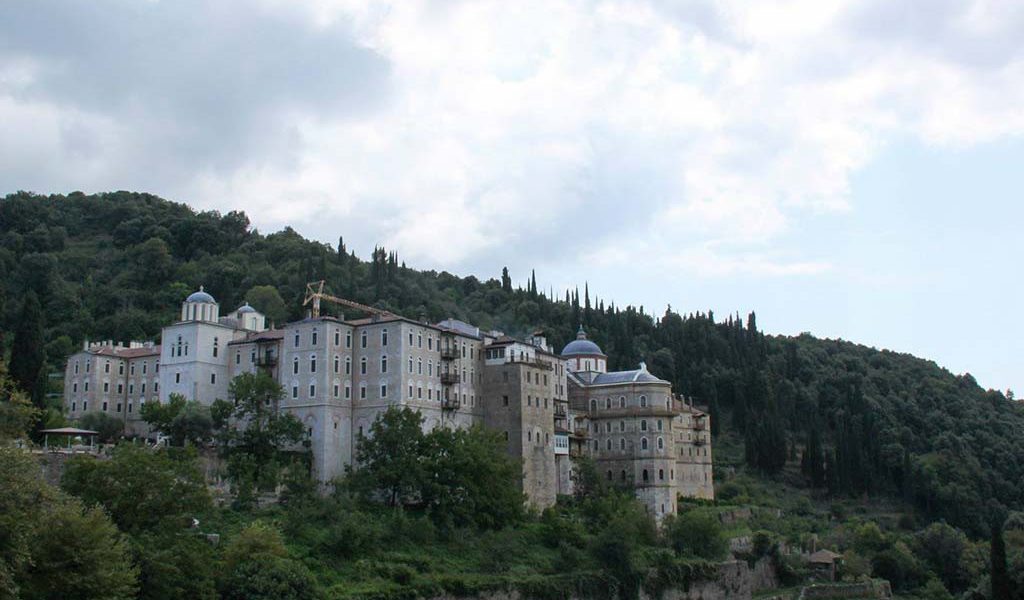 zoivurwdsg